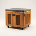 Cold Plunge Tub Designed for Home Recovery, Cedar Cabinet, Stainless Steel Basin, Touchscreen Controller