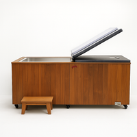 Cold Plunge Tub Designed for Home Recovery, Cedar Cabinet, Stainless Steel Basin, Touchscreen Controller