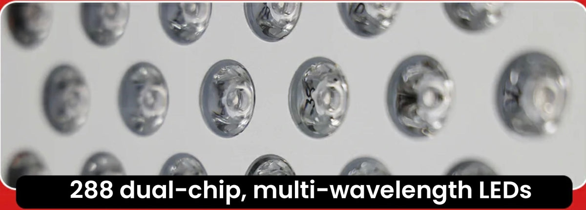 Close-up of the TimeLight Elevate dual-chip LEDs
