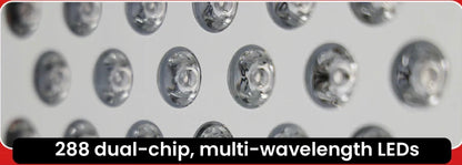 Close-up of the TimeLight Elevate dual-chip LEDs