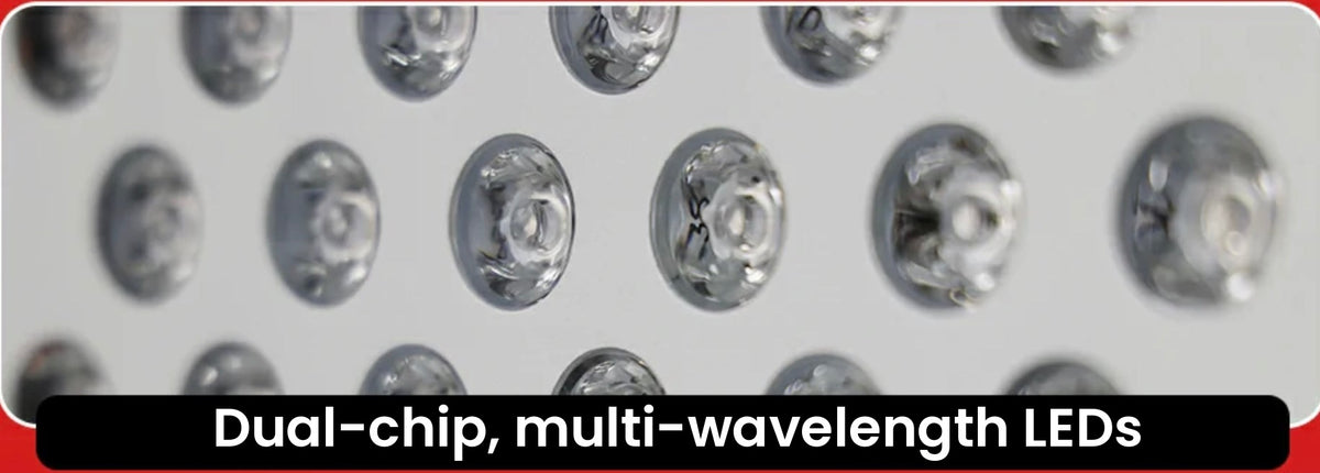 Close-up of TimeLight dual-chip LEDs
